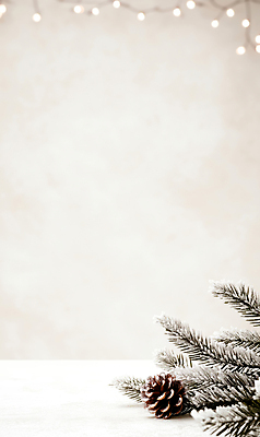 JPG 편집이미지 배너 겨울 사람없음 눈 서리 보케 솔방울 솔잎 알전구 카피스페이스 편집실사 AI포토 AI콘텐츠 자연요소 계절 잎 전구 날씨 공백 CG 파일형식