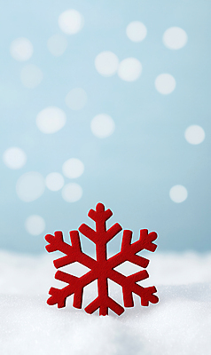 JPG 편집이미지 설경 눈꽃 사람없음 눈 보케 쌓인눈 눈내림 편집실사 AI포토 AI콘텐츠 자연요소 겨울 날씨 눈_날씨 풍경 CG 파일형식