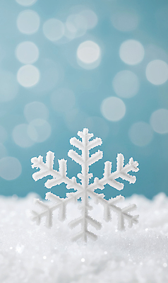 JPG 편집이미지 설경 눈꽃 사람없음 눈 보케 쌓인눈 편집실사 AI포토 AI콘텐츠 자연요소 겨울 날씨 눈_날씨 풍경 CG 파일형식