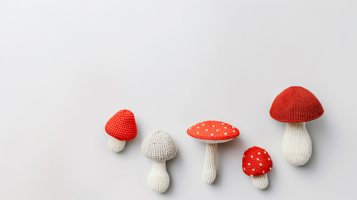 JPG 편집이미지 채소 사람없음 귀여움 버섯 뜨개질 디지털합성 니트 수공예 편집소스 편집실사 AI포토 AI콘텐츠 컨셉 상의 취미 공예 CG 파일형식