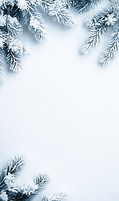 JPG 편집이미지 백그라운드 설경 프레임 사람없음 눈 서리 솔잎 쌓인눈 카피스페이스 편집실사 AI포토 AI콘텐츠 자연요소 잎 겨울 날씨 풍경 공백 CG 파일형식