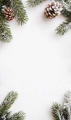 JPG 편집이미지 백그라운드 설경 프레임 사람없음 눈 서리 솔방울 솔잎 쌓인눈 카피스페이스 편집실사 AI포토 AI콘텐츠 자연요소 잎 겨울 날씨 풍경 공백 CG 파일형식