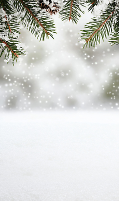 JPG 편집이미지 백그라운드 설경 프레임 사람없음 눈 서리 솔잎 쌓인눈 눈내림 카피스페이스 편집실사 AI포토 AI콘텐츠 자연요소 잎 겨울 날씨 눈_날씨 풍경 공백 CG 파일형식