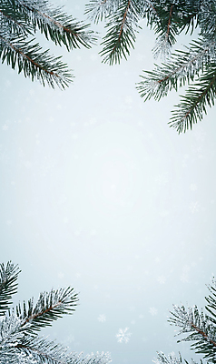 JPG 편집이미지 백그라운드 설경 프레임 사람없음 눈 서리 솔잎 쌓인눈 눈내림 카피스페이스 편집실사 AI포토 AI콘텐츠 자연요소 잎 겨울 날씨 눈_날씨 풍경 공백 CG 파일형식