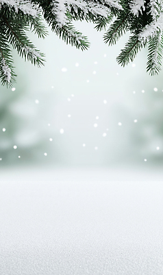 JPG 편집이미지 백그라운드 설경 프레임 사람없음 눈 서리 솔잎 쌓인눈 눈내림 카피스페이스 편집실사 AI포토 AI콘텐츠 자연요소 잎 겨울 날씨 눈_날씨 풍경 공백 CG 파일형식