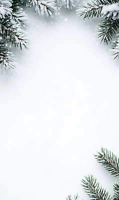 JPG 편집이미지 백그라운드 설경 프레임 사람없음 눈 서리 솔잎 쌓인눈 카피스페이스 편집실사 AI포토 AI콘텐츠 자연요소 잎 겨울 날씨 풍경 공백 CG 파일형식