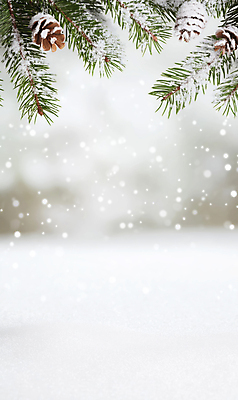 JPG 편집이미지 백그라운드 설경 프레임 사람없음 눈 서리 솔방울 솔잎 쌓인눈 눈내림 카피스페이스 편집실사 AI포토 AI콘텐츠 자연요소 잎 겨울 날씨 눈_날씨 풍경 공백 CG 파일형식