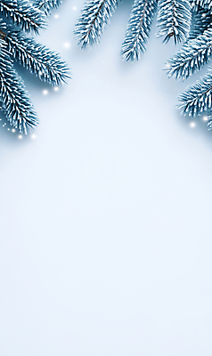 JPG 편집이미지 백그라운드 설경 프레임 사람없음 눈 서리 솔잎 쌓인눈 카피스페이스 편집실사 AI포토 AI콘텐츠 자연요소 잎 겨울 날씨 풍경 공백 CG 파일형식