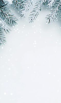 JPG 편집이미지 백그라운드 설경 프레임 사람없음 눈 서리 솔잎 쌓인눈 카피스페이스 편집실사 AI포토 AI콘텐츠 자연요소 잎 겨울 날씨 풍경 공백 CG 파일형식