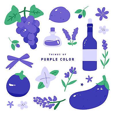 열매 꽃 리본 스티커 일러스트 포도 가지 나뭇잎 사람없음 보라색 와인병 오브젝트 라벤더 향수병 푸룬 국내일러스트 AI파일 식물 컬러 잎 채소 과일 병_용기 와인 허브 향수 병_담는 파일형식 벡터