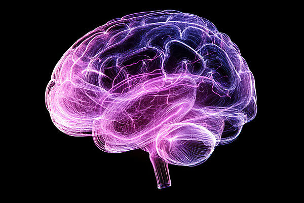 JPG 편집이미지 추상 미래 사람없음 빛 3D 보라색 뇌 네온 이미지편집 편집3D AI컴퓨터그래픽 AI콘텐츠 컬러 컨셉 무늬 디지털합성 파일형식