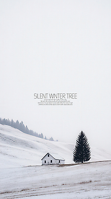 PSD 나무 편집이미지 설경 산 사람없음 크리스마스트리 눈 숲 오두막 쌓인눈 이미지편집 자연요소 식물 크리스마스 겨울 날씨 풍경 파일형식