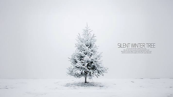 PSD 나무 편집이미지 설경 사람없음 눈 쌓인눈 이미지편집 자연요소 식물 겨울 날씨 풍경 파일형식