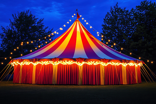 JPG 나무 편집이미지 텐트 사람없음 빛 축제 공연 무대 화려 야간 숲속 서커스 즐거움 알전구 편집실사 AI포토 AI콘텐츠 자연요소 식물 감정 컨셉 전구 캠핑도구 이벤트 숲 CG 파일형식