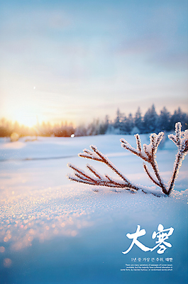 PSD 나무 템플릿 겨울 하늘 눈꽃 사람없음 파란색 노을 설원 얼음 서리 대한 쌓인눈 이미지템플릿 자연요소 식물 계절 컬러 눈_날씨 파일형식