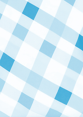 JPG 하늘색 백그라운드 패턴 일러스트 사람없음 빈티지 체크무늬 차분 국내일러스트 AI일러스트 AI콘텐츠 컨셉 무늬 파란색 파일형식