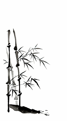 JPG 일러스트 붓터치 수묵화 사람없음 검은색 대나무 한국화 국내일러스트 AI일러스트 AI콘텐츠 나무 컬러 미술 동양화 파일형식