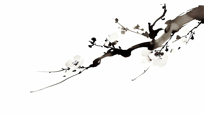 JPG 일러스트 붓터치 수묵화 사람없음 검은색 나뭇가지 매화 한국화 국내일러스트 AI일러스트 AI콘텐츠 나무 꽃 컬러 미술 동양화 파일형식