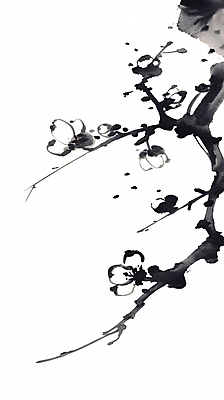 JPG 일러스트 붓터치 수묵화 사람없음 검은색 나뭇가지 매화 한국화 국내일러스트 AI일러스트 AI콘텐츠 나무 꽃 컬러 미술 동양화 파일형식