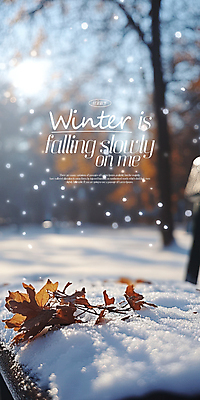 PSD 나무 편집이미지 포스터 낙엽 겨울 풍경 사람없음 햇빛 설원 이미지 감성 눈내림 이미지편집 식물 계절 컨셉 잎 눈_날씨 태양 파일형식