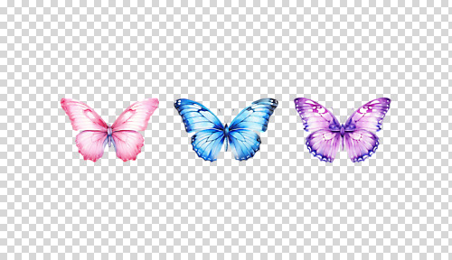 편집이미지 나비 수채화 세마리 누끼 사람없음 봄 감성 PNG 계절 곤충 컨셉 3 파일형식