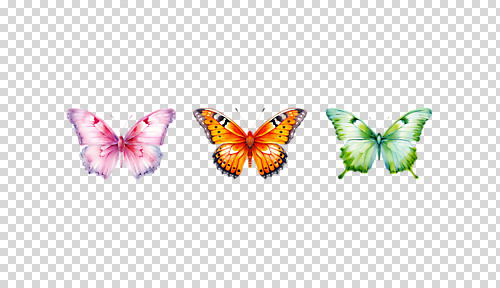 편집이미지 나비 수채화 세마리 누끼 사람없음 봄 감성 PNG 계절 곤충 컨셉 3 파일형식