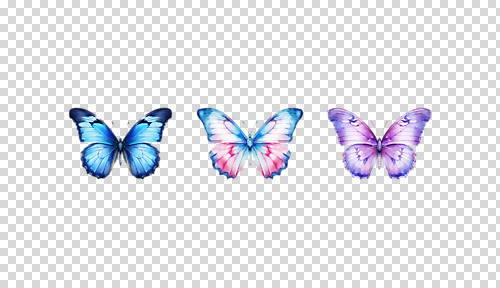 편집이미지 나비 수채화 세마리 누끼 사람없음 봄 감성 PNG 계절 곤충 컨셉 3 파일형식