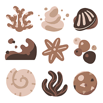 파도 스티커 일러스트 추상 조개 불가사리 사람없음 갈색 유행 해초 산호 오브젝트 심플 2025년 트렌드컬러 국내일러스트 모카무스 AI파일 바다 컬러 무늬 어패류 극피동물 해조류 자포동물 연도 파일형식 벡터