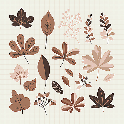 식물 스티커 낙엽 잎 일러스트 자연 나뭇잎 사람없음 갈색 유행 오브젝트 심플 엘리먼트 편집소스 2025년 트렌드컬러 국내일러스트 모카무스 AI파일 컬러 연도 생태계 파일형식 벡터