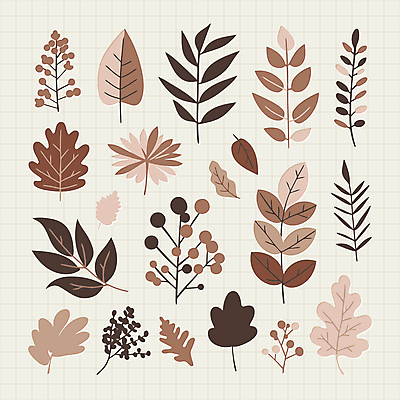 식물 스티커 낙엽 잎 일러스트 자연 나뭇잎 사람없음 갈색 유행 오브젝트 심플 엘리먼트 편집소스 2025년 트렌드컬러 국내일러스트 모카무스 AI파일 컬러 연도 생태계 파일형식 벡터