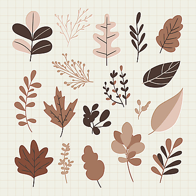 식물 스티커 낙엽 잎 일러스트 자연 나뭇잎 사람없음 갈색 유행 오브젝트 심플 엘리먼트 편집소스 2025년 트렌드컬러 국내일러스트 모카무스 AI파일 컬러 연도 생태계 파일형식 벡터