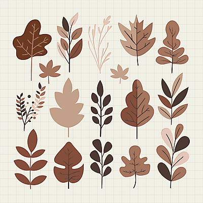 식물 스티커 낙엽 잎 일러스트 자연 나뭇잎 사람없음 갈색 유행 오브젝트 심플 엘리먼트 편집소스 2025년 트렌드컬러 국내일러스트 모카무스 AI파일 컬러 연도 생태계 파일형식 벡터