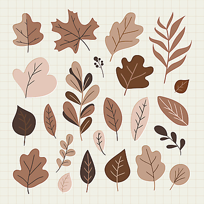 식물 스티커 낙엽 잎 일러스트 자연 나뭇잎 사람없음 갈색 유행 오브젝트 심플 엘리먼트 편집소스 2025년 트렌드컬러 국내일러스트 모카무스 AI파일 컬러 연도 생태계 파일형식 벡터