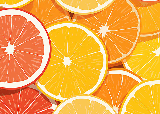 JPG 오렌지 일러스트 단면 사람없음 신선 가득함 국내일러스트 AI일러스트 AI콘텐츠 과일 파일형식