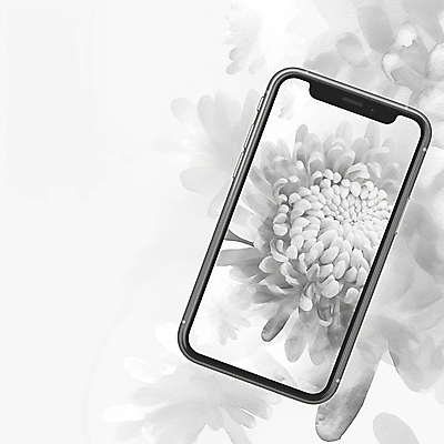 JPG 편집이미지 모바일 프레임 국화 사람없음 스마트폰 슬픔 흰색 디지털합성 조용 애도 장례 헌화 카피스페이스 편집실사 AI포토 AI콘텐츠 꽃 감정 컬러 핸드폰 스마트기기 공백 CG 추모 파일형식