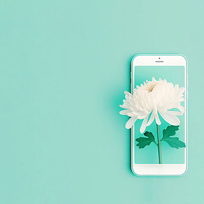 JPG 편집이미지 모바일 프레임 국화 사람없음 슬픔 디지털합성 조용 애도 장례 민트색 헌화 카피스페이스 편집실사 AI포토 AI콘텐츠 꽃 감정 컬러 공백 CG 추모 파일형식