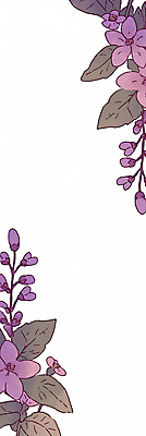 JPG 잎 일러스트 사람없음 보라색 바질 카피스페이스 보테니컬아트 국내일러스트 AI일러스트 AI콘텐츠 식물 컬러 공백 파일형식