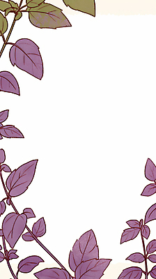 JPG 잎 일러스트 프레임 사람없음 보라색 바질 카피스페이스 보테니컬아트 국내일러스트 AI일러스트 AI콘텐츠 식물 컬러 공백 파일형식