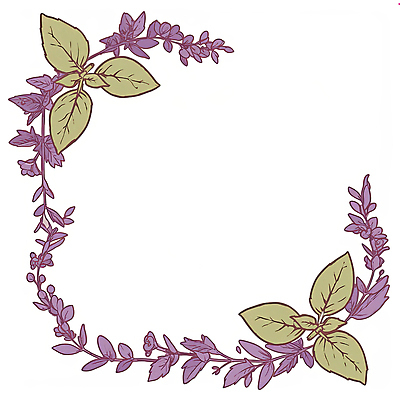 JPG 잎 일러스트 프레임 사람없음 보라색 바질 카피스페이스 보테니컬아트 국내일러스트 AI일러스트 AI콘텐츠 식물 컬러 공백 파일형식