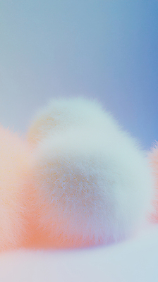 JPG 편집이미지 공 추상 털 사람없음 원형 털실 질감 부드러움 칼라솜 편집실사 AI컴퓨터그래픽 AI콘텐츠 도형 무늬 감각 실 CG 부자재 파일형식