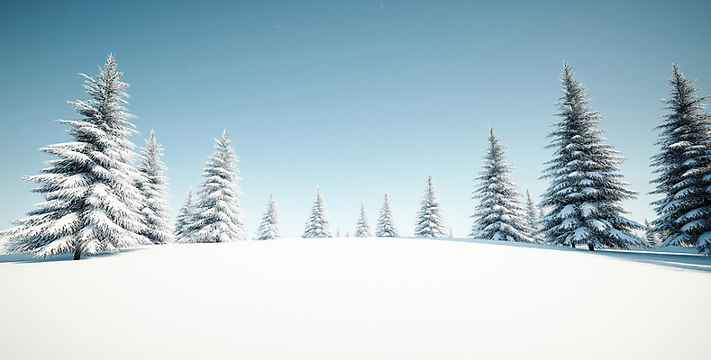 JPG 나무 편집이미지 하늘색 설경 겨울 자연 그림자 사람없음 설원 만년설 눈덮임 편집실사 AI포토 AI콘텐츠 식물 계절 컨셉 눈_날씨 풍경 파란색 CG 생태계 파일형식