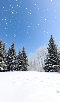JPG 나무 편집이미지 하늘색 설경 겨울 자국 자연 그림자 사람없음 설원 만년설 눈내림 눈덮임 편집실사 AI포토 AI콘텐츠 식물 계절 컨셉 눈_날씨 풍경 파란색 CG 생태계 파일형식