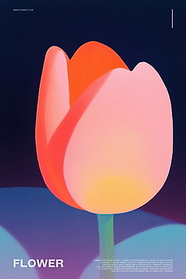 PSD 꽃 포스터 분홍색 곡선 일러스트 사람없음 심플 감성 국내일러스트 식물 선 컬러 컨셉 파일형식