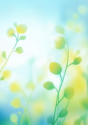 JPG 하늘색 일러스트 자연 하늘 수채화 사람없음 봄 꽃봉오리 그림 향기 번짐 국내일러스트 AI일러스트 AI콘텐츠 계절 꽃 파란색 생태계 냄새 파일형식 효과