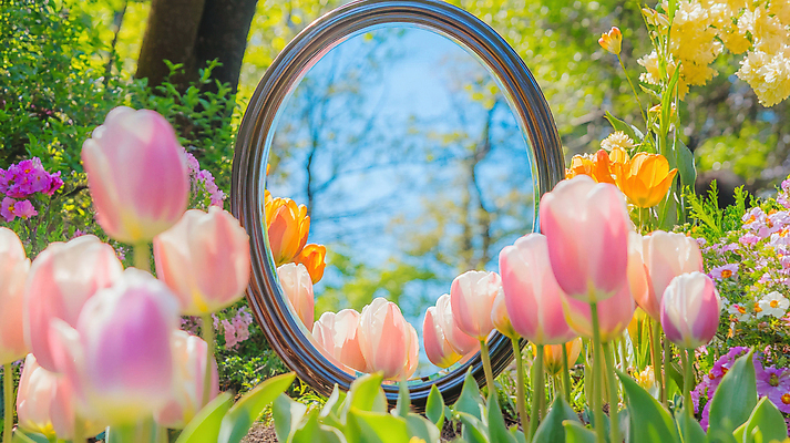 JPG 나무 편집이미지 자연 하늘 밝음 사람없음 햇빛 반사 정원 봄 거울 튤립 풀 화려 숲 신비 싱그러움 편집실사 AI포토 AI콘텐츠 식물 계절 꽃 컨셉 태양 CG 생태계 파일형식