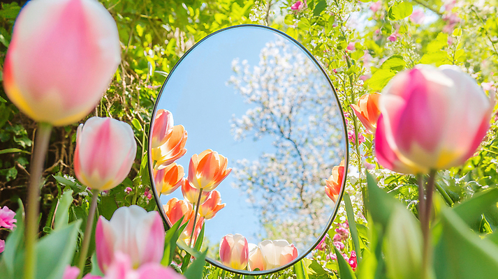 JPG 편집이미지 자연 하늘 밝음 사람없음 햇빛 반사 정원 봄 거울 튤립 풀 화려 숲 신비 편집실사 AI포토 AI콘텐츠 식물 계절 꽃 컨셉 태양 CG 생태계 파일형식
