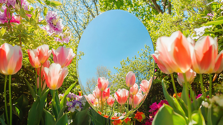 JPG 편집이미지 자연 하늘 밝음 사람없음 햇빛 반사 정원 봄 거울 튤립 풀 화려 숲 신비 싱그러움 편집실사 AI포토 AI콘텐츠 식물 계절 꽃 컨셉 태양 CG 생태계 파일형식