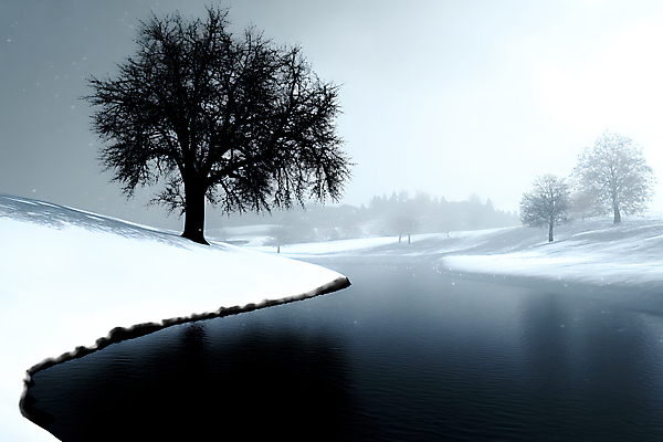 JPG 나무 호수 겨울 일러스트 풍경 사람없음 설원 눈 차가움 야간 숲 국내일러스트 AI일러스트 AI콘텐츠 자연요소 식물 계절 날씨 눈_날씨 파일형식