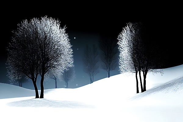 JPG 나무 겨울 일러스트 그림자 풍경 사람없음 설원 어둠 눈 차가움 야간 국내일러스트 AI일러스트 AI콘텐츠 자연요소 식물 계절 날씨 눈_날씨 파일형식