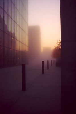 JPG 나무 편집이미지 거리풍경 빌딩 사람없음 빛 반사 노을 고요 새벽 안개 도시 감성 볼라드 편집실사 AI포토 AI콘텐츠 자연요소 식물 컨셉 날씨 거리 풍경 건물 CG 파일형식
